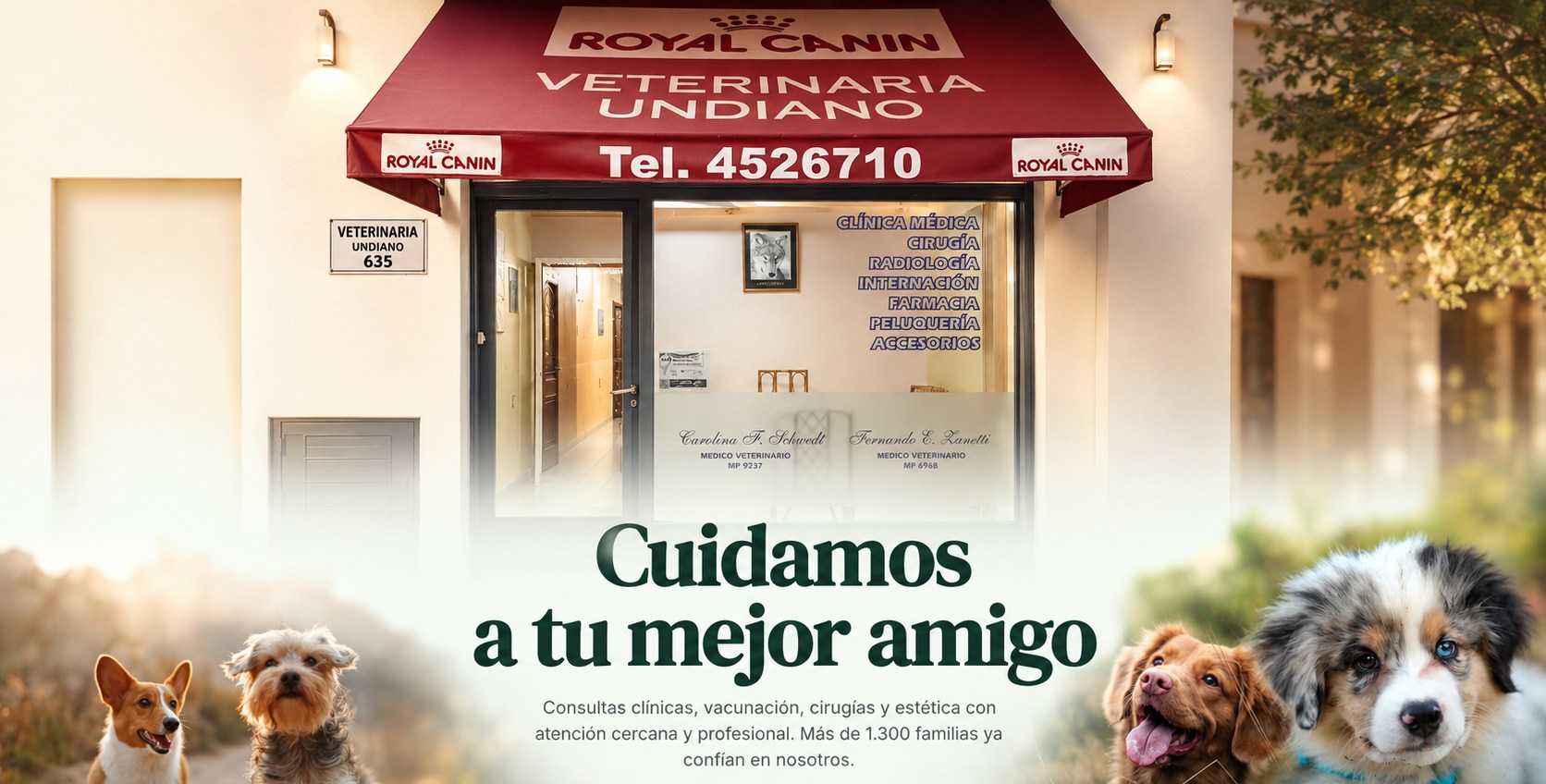 Veterinaria Undiano — Cuidamos a tu mejor amigo